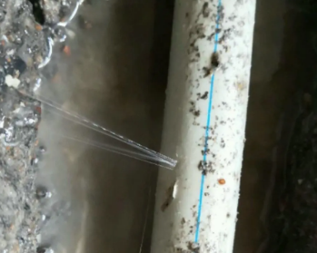 天长卫生间测漏水多少钱