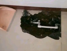 天长卫生间测漏水多少钱